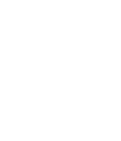logo_blanc_seul