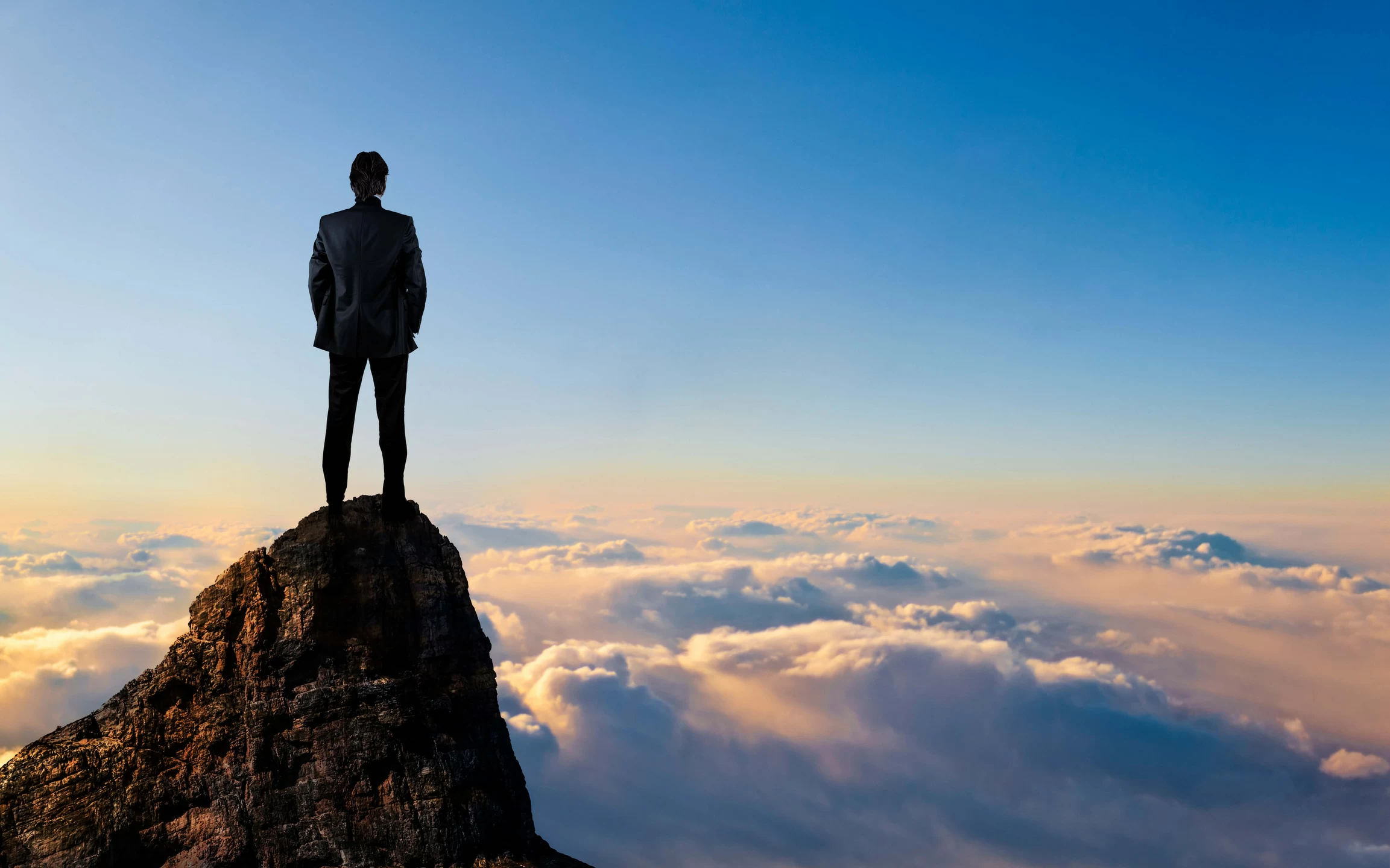 Goals View Perspective Business Goals View Perspective Business